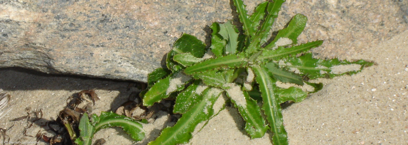 Seelsorge und Begleitung